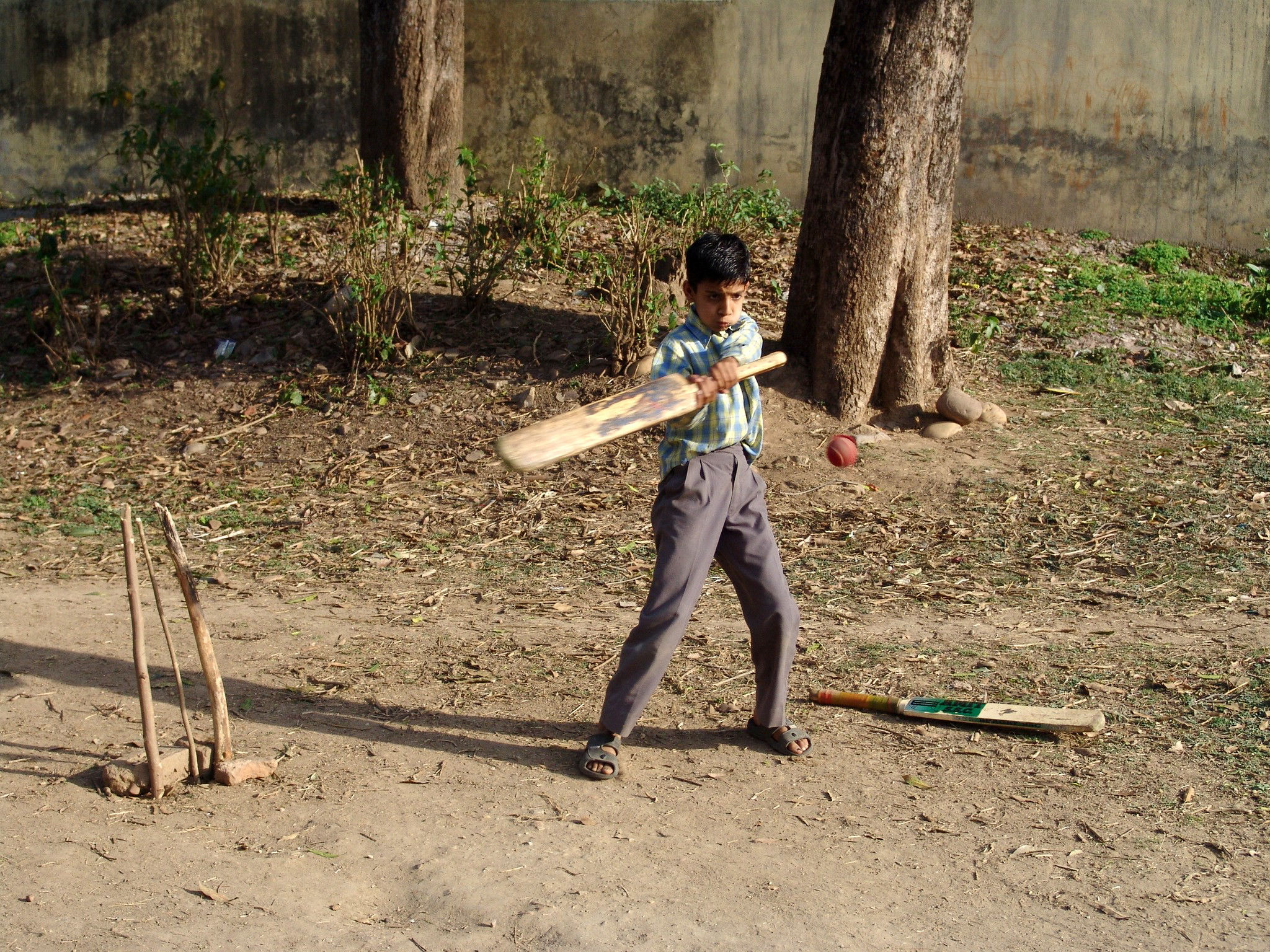  Himachal Pradesh, cricket