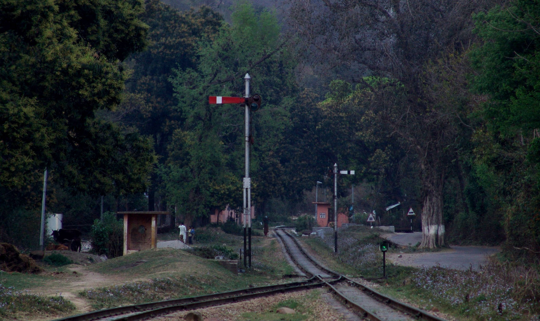 narrow gage train