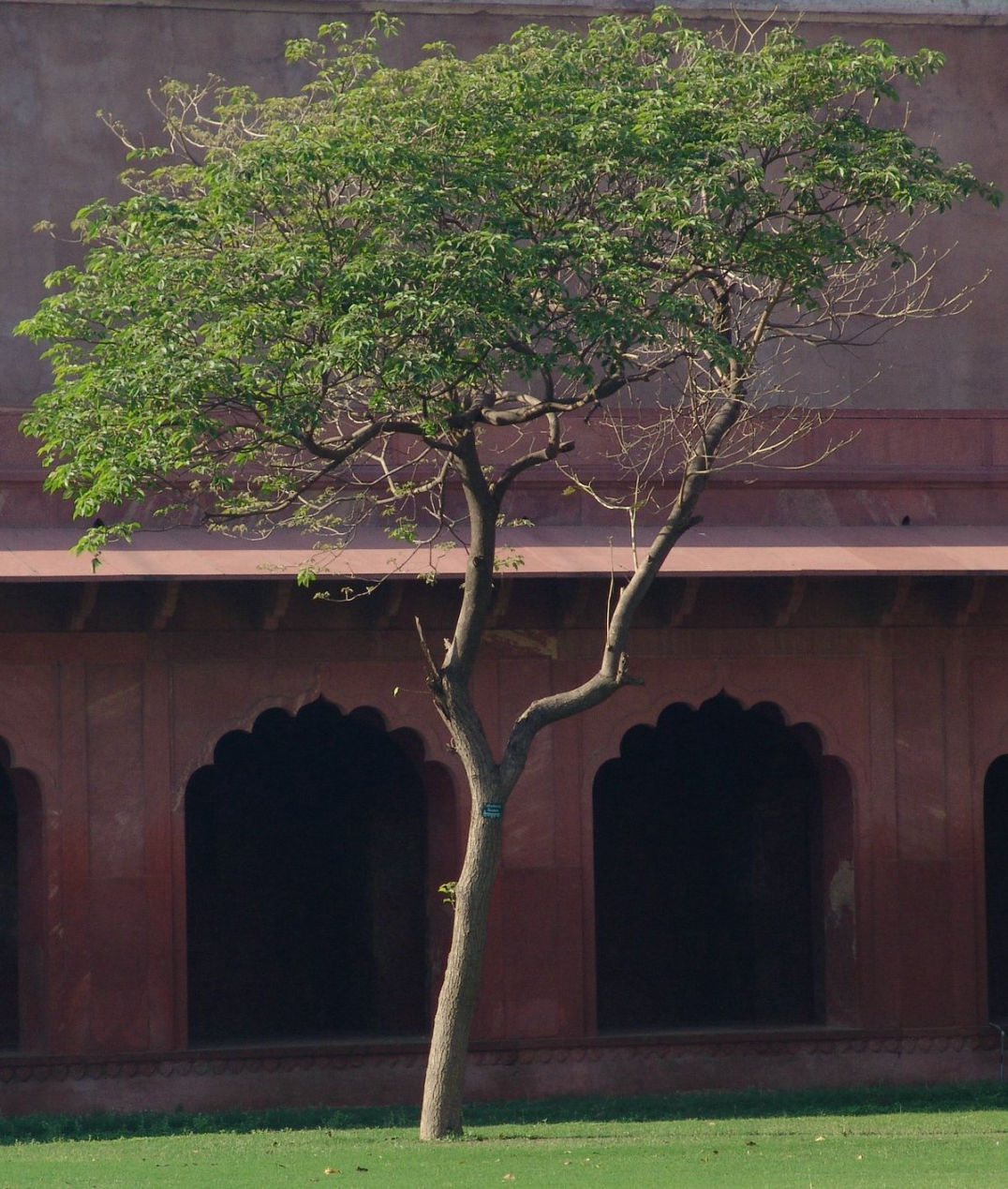 The Judges Court, India