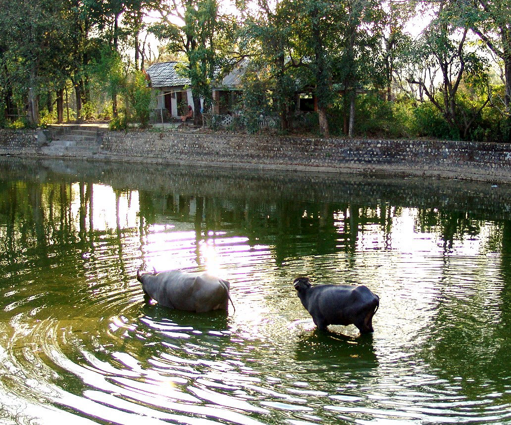 Pragpur, Himachal Pradesh, 