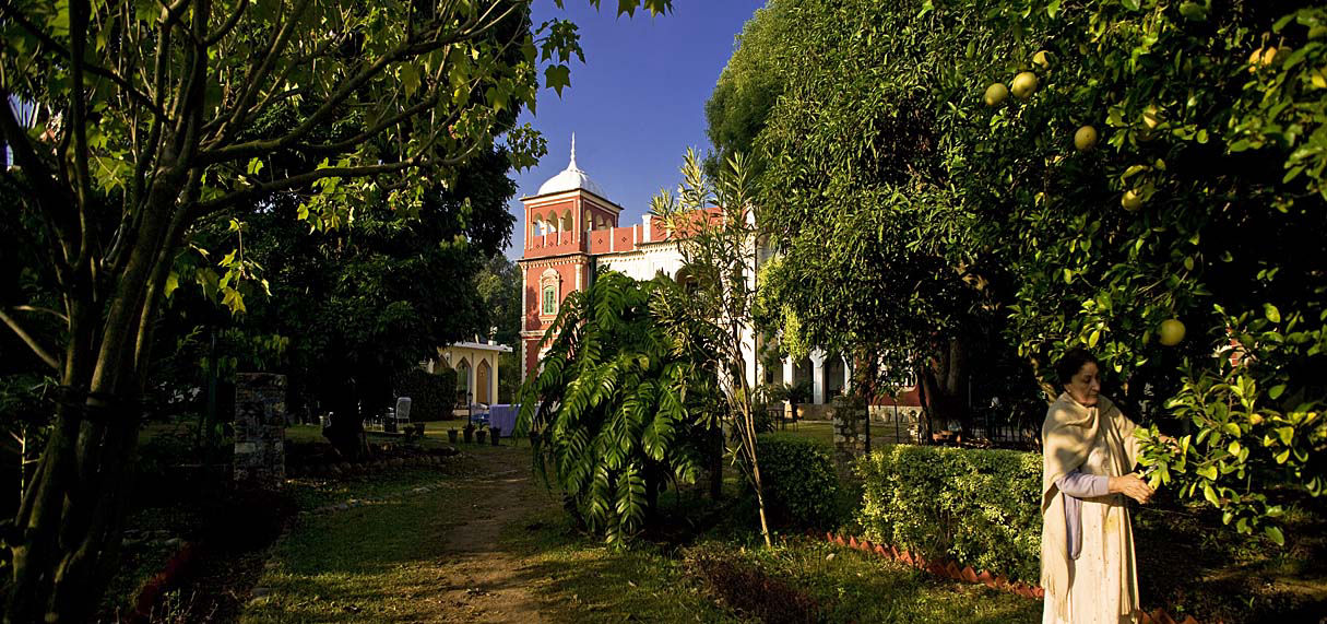 Mrs. Rani Lal, pruning